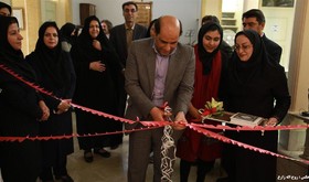 نمایشگاه "گل‌های‌کاغذی"در یزد گشایش یافت