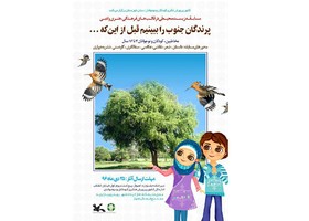 پرندگان جنوب موضوع مسابقه‌های فرهنگی، هنری و ادبی کودکان و نوجوانان خوزستانی شد