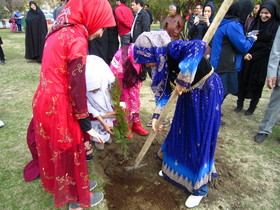 درختکاری اعضا مرکز یک همدان