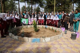 ویژه برنامه روز درختکاری در مراکز فرهنگی هنری کانون استان اصفهان