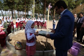 ویژه برنامه رو درختکاری در مراکز شاهین شهر و آران و بیدگل کانون