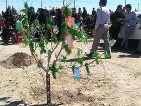 کاشت درخت به یاد دو شهید در گلزار شهدای بردسیر