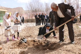 پویش درختکاری متناسب با اقلیم در مرکز فرهنگی هنری فرخشهر