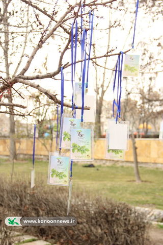 رویش نو ـ ویژه برنامه روز درختکاری توسط اعضا کانون تهران در پارک پلیس/ عکس از الهه علیرضالو