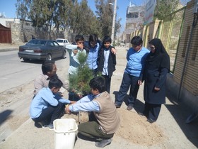 روز درختکاری در مراکز فرهنگی هنری سیستان و بلوچستان