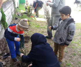اعضای کانون مازندران روز درخت‌کاری را گرامی داشتند