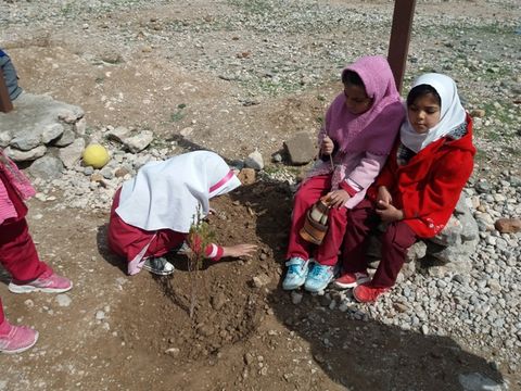 اجرای طرح هر کودک یک نهال در روستاهای تحت پوشش کتاب‌خانه سیار روستایی زیرکوه