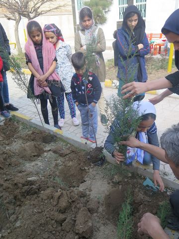گزارش تصویری گرامی‌داشت روز درخت‌کاری در مراکز کانون استان قزوین