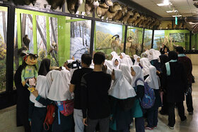 ۱۸۰ کودک و نوجوان از «موزه تنوع زیستی» دیدن کردند