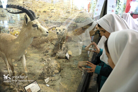بازدید کودکان و نوجوانان کانون از موزه پارک پردیسان