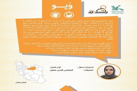 تجلیل از ایده‌پرداز نوجوان سمنانی در سومین رویداد ملی اسباب‌بازی