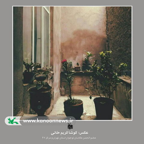 "عکسهای بخش چلیکخند برای فراخوان خوانخنده"