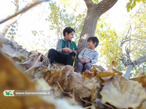پاییز به روایت لنز دوربین عکاسان نوجوان کانون خراسان جنوبی