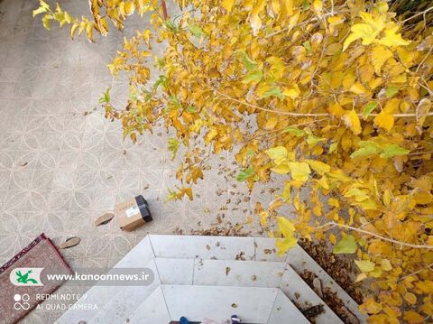 پاییز به روایت لنز دوربین عکاسان نوجوان کانون خراسان جنوبی