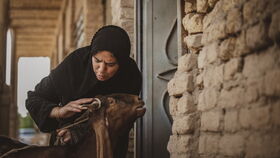 بازتاب درخشش فیلم سینمایی «یدو» در رسانه‌ها