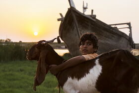 «یدو» رکورددار نامزدی بیشترین جوایزِ جشنواره فیلم فجر