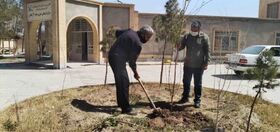 روز درختکاری در مراکز فرهنگی‌هنری سیستان و بلوچستان