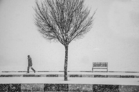 اسما اصغری از کرمانشاه برگزیده پنجمین مهرواره عکس فصلِ زمستان کانون