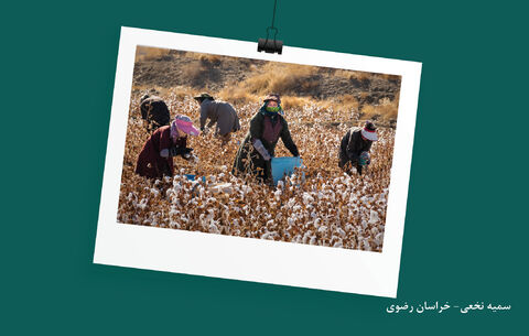 برگزیدگان ششمین مهرواره فصلی عکسِ انجمن عکاسان نوجوان کانون