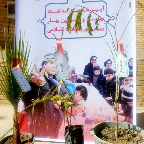 طرح هر شهید یک نهال در مراکز کانون استان به روایت تصویر