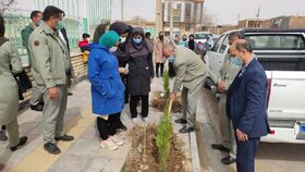 بزرگداشت هفته درختکاری در مراکز فرهنگی هنری استان مرکزی