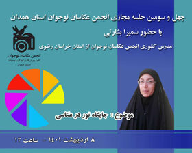 چهل‌و سومین جلسه مجازی انجمن عکاسان نوجوان استان همدان برگزار شد