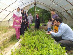 آموزش کاشت و نگهداری از گل و گیاه به اعضای مراکز گالیکش و بندرگز