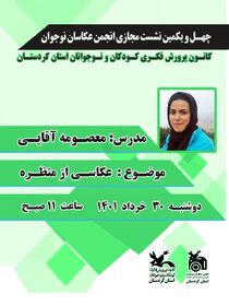 نشست مجازی انجمن عکاسی استان کردستان برگزار شد