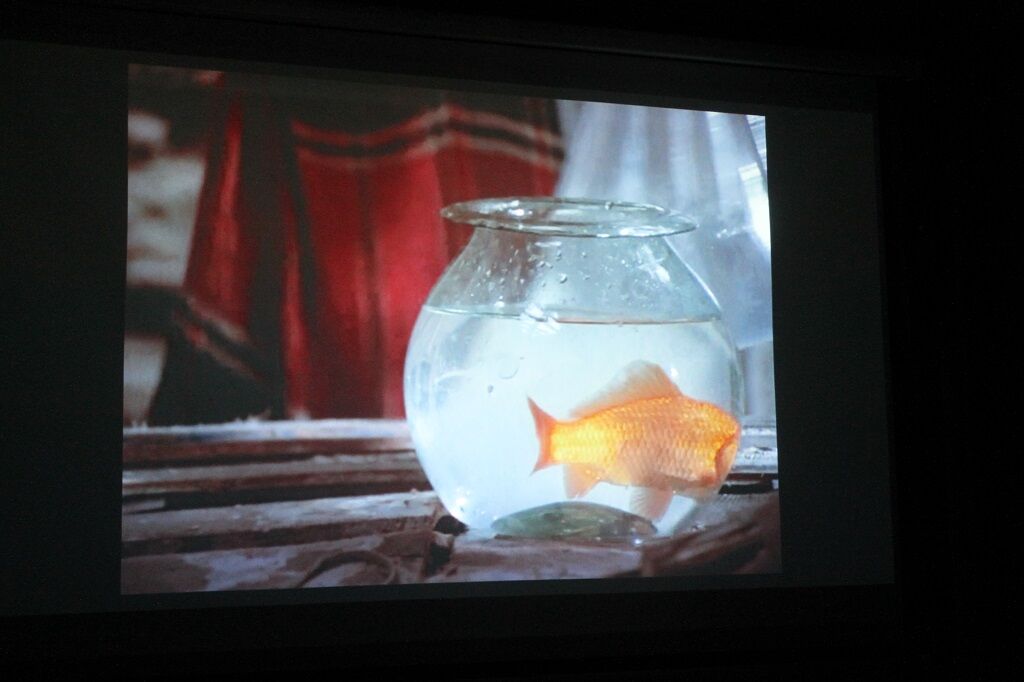 نشست تخصصی نقد و بررسی فیلم کوتاه "رهایی" برگزار شد