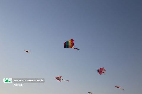 پرواز بابادک های شادی و امید در آسمان بوشهر 1