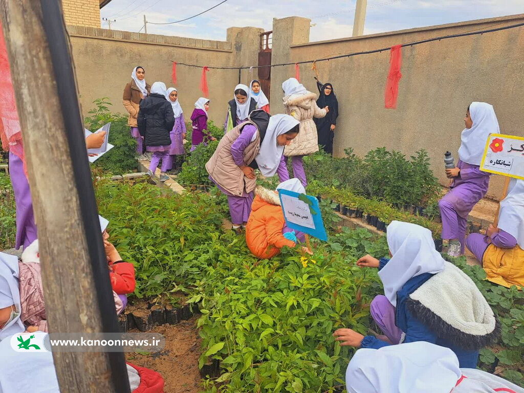 اعضا انجمن محیط زیست کانون پرورش فکری مرکز شبانکاره با گونه های گیاهی آشنا شدند