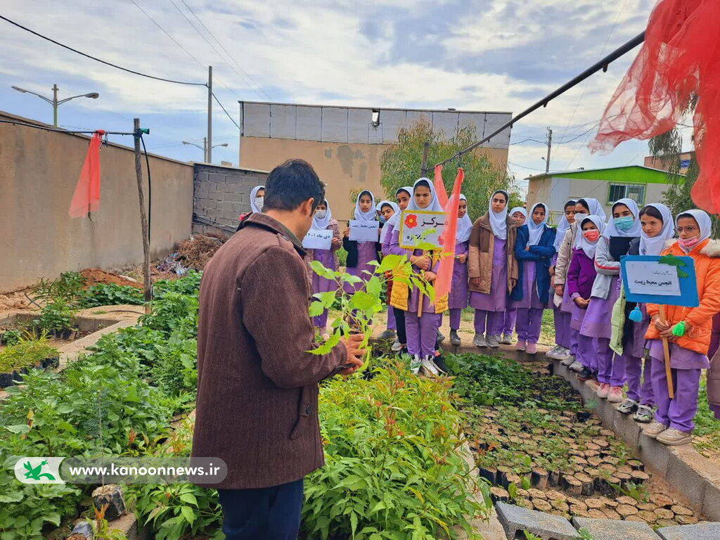 اعضا انجمن محیط زیست کانون پرورش فکری مرکز شبانکاره با گونه های گیاهی آشنا شدند