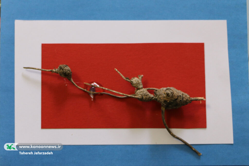 پودمان آموزشی کاردستی با دور ریختنیها در کانون سمنان