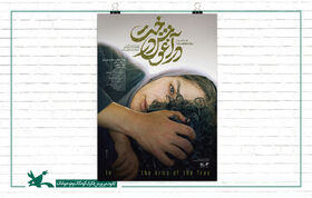 "In the embrace of the tree", the winning movie of the 41st Fajr International Film Festival