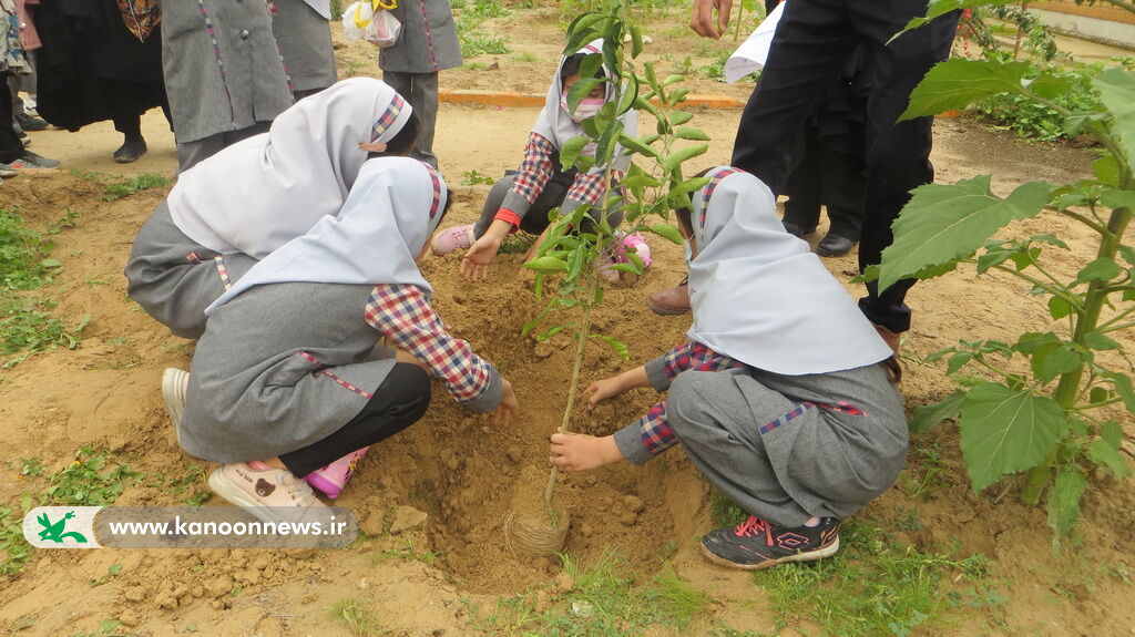 یازدهمین دوره جشنواره قصه گویی انقلاب در مرکز فرهنگی برازجان برگزار شد