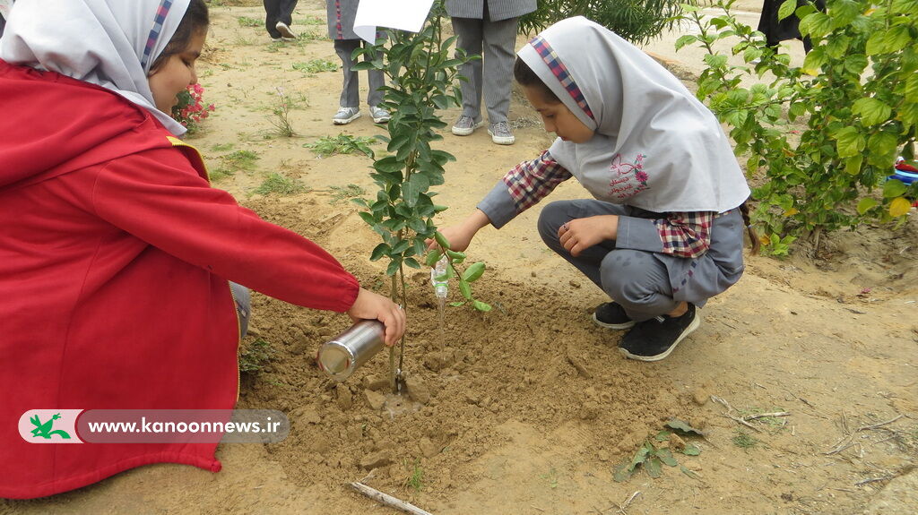 یازدهمین دوره جشنواره قصه گویی انقلاب در مرکز فرهنگی برازجان برگزار شد