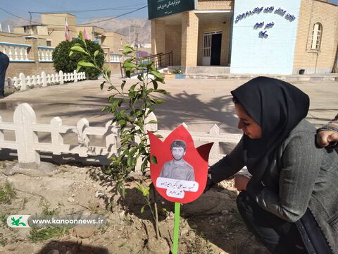 طرح «هرشهید ؛ یک نهال» در کانون استان بوشهراجرا شد