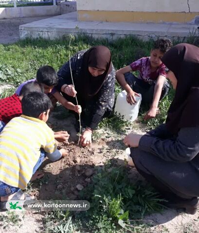 گرامیداشت روز درختکاری در مراکز کانون خوزستان