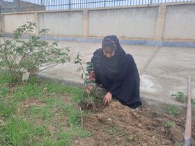 ادامه‌ی فعالیت‌های روز درختکاری در مراکز فرهنگی‌هنری سیستان و بلوچستان