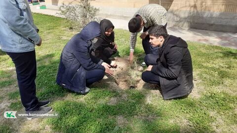 روز درختکاری درمراکز کانون استان لرستان