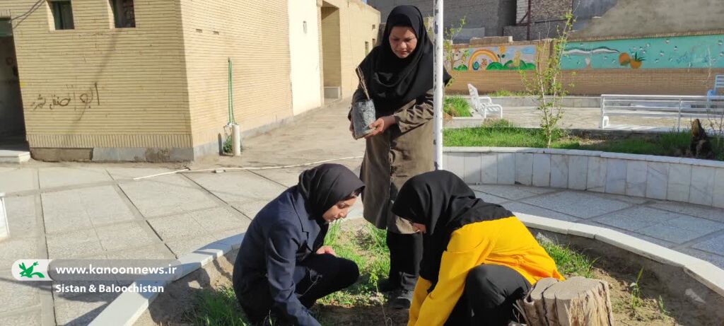 ادامهی فعالیتهای روز درختکاری در مراکز فرهنگیهنری سیستان و بلوچستان