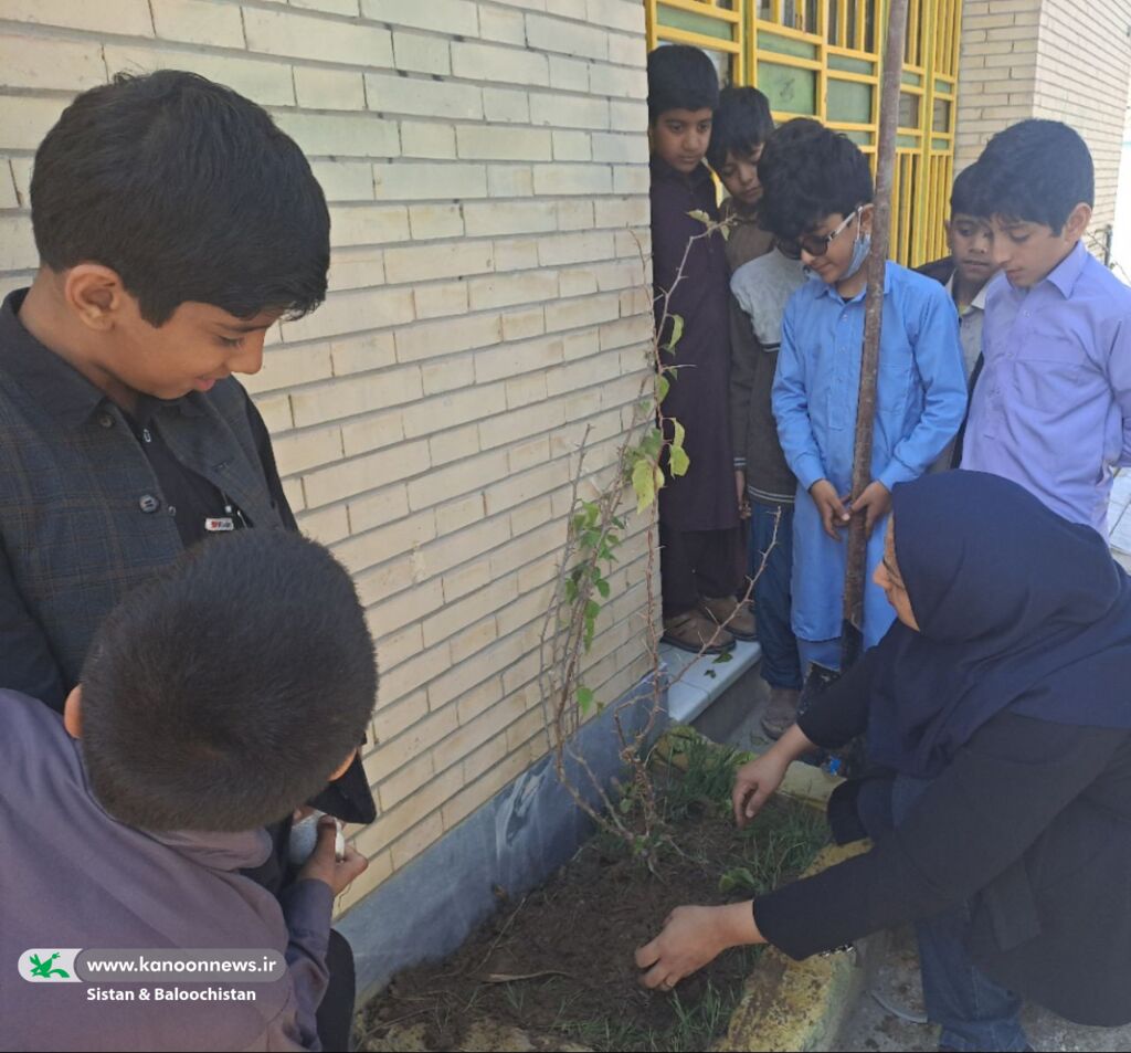 ادامه‌ی فعالیت‌های روز درختکاری در مراکز فرهنگی‌هنری سیستان و بلوچستان