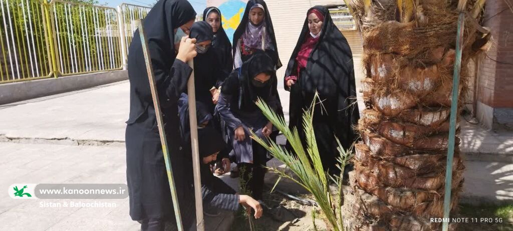 ادامهی فعالیتهای روز درختکاری در مراکز فرهنگیهنری سیستان و بلوچستان