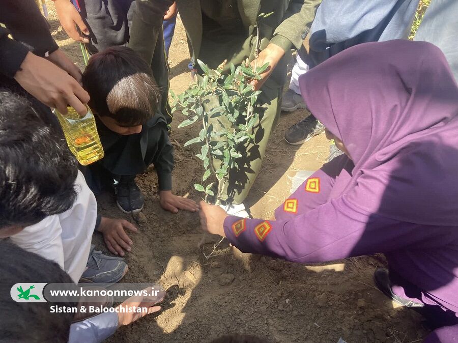 ادامهی فعالیتهای روز درختکاری در مراکز فرهنگیهنری سیستان و بلوچستان