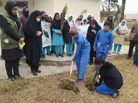 کاشت درخت و گرامی‌داشت روز درخت‌کاری در گالیکش