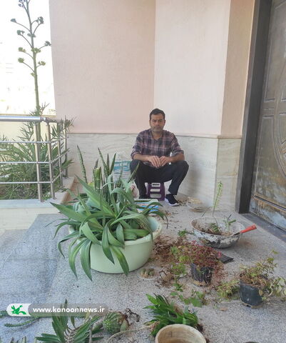 روز درختکاری در مراکز از قاب شیشه ای