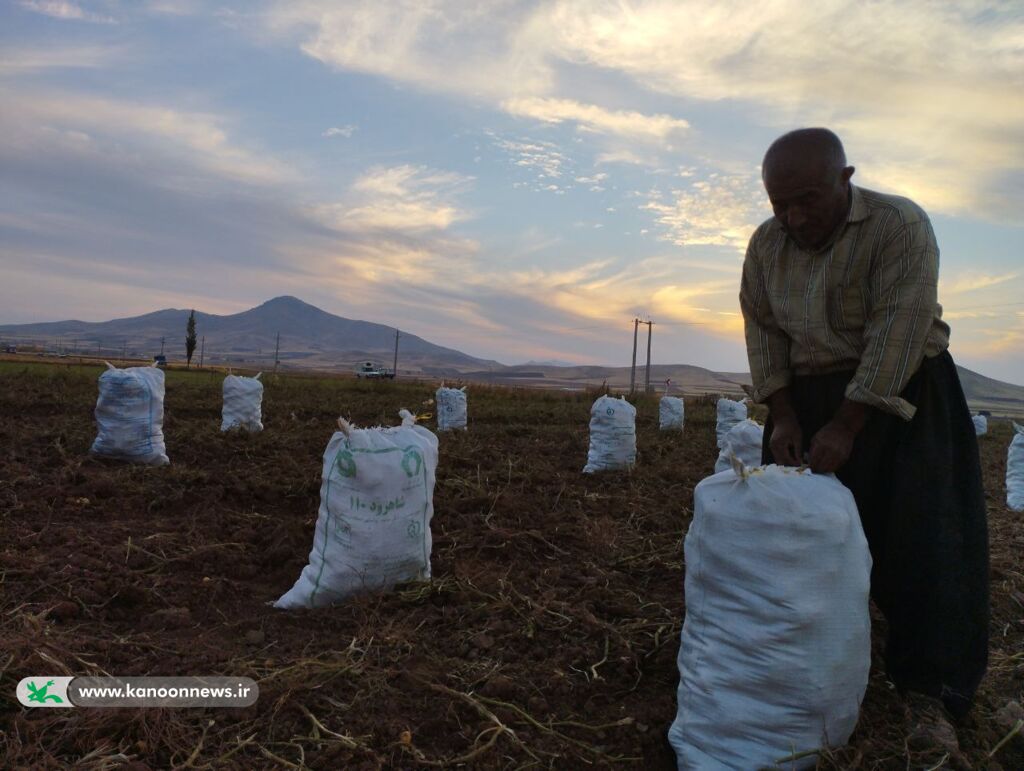 نفرات برگزیده سومین مهرواره منطقه ای عکس برداشت محصول معرفی شدند