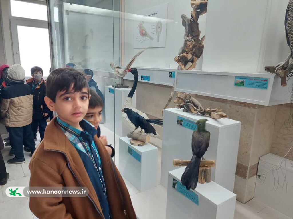 دعوتنامهای برای گشایش رازهای کوچک سفید در سکوت شب