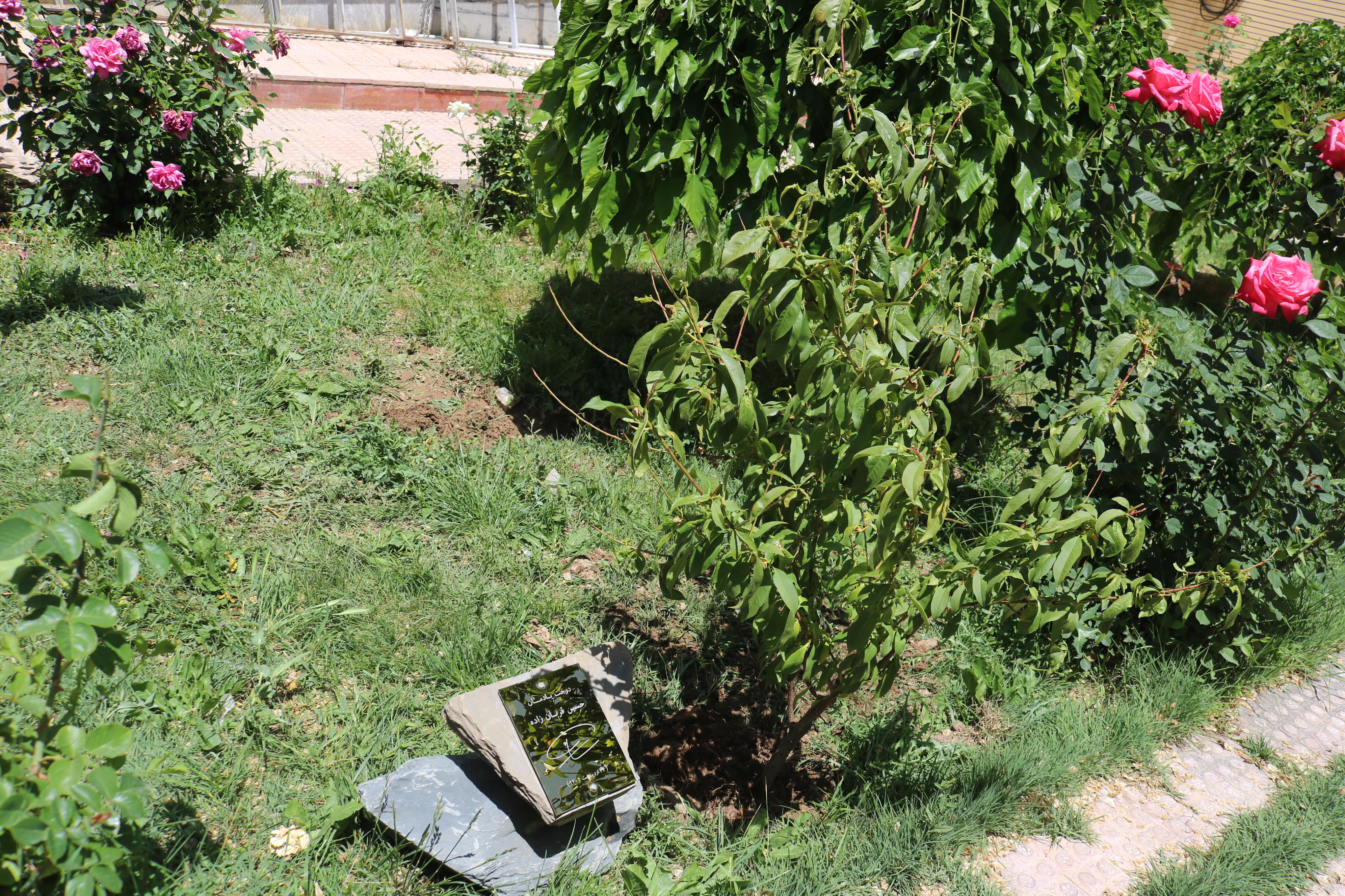 مجمع همراهان کتاب در کانون استان مرکزی برگزار شد