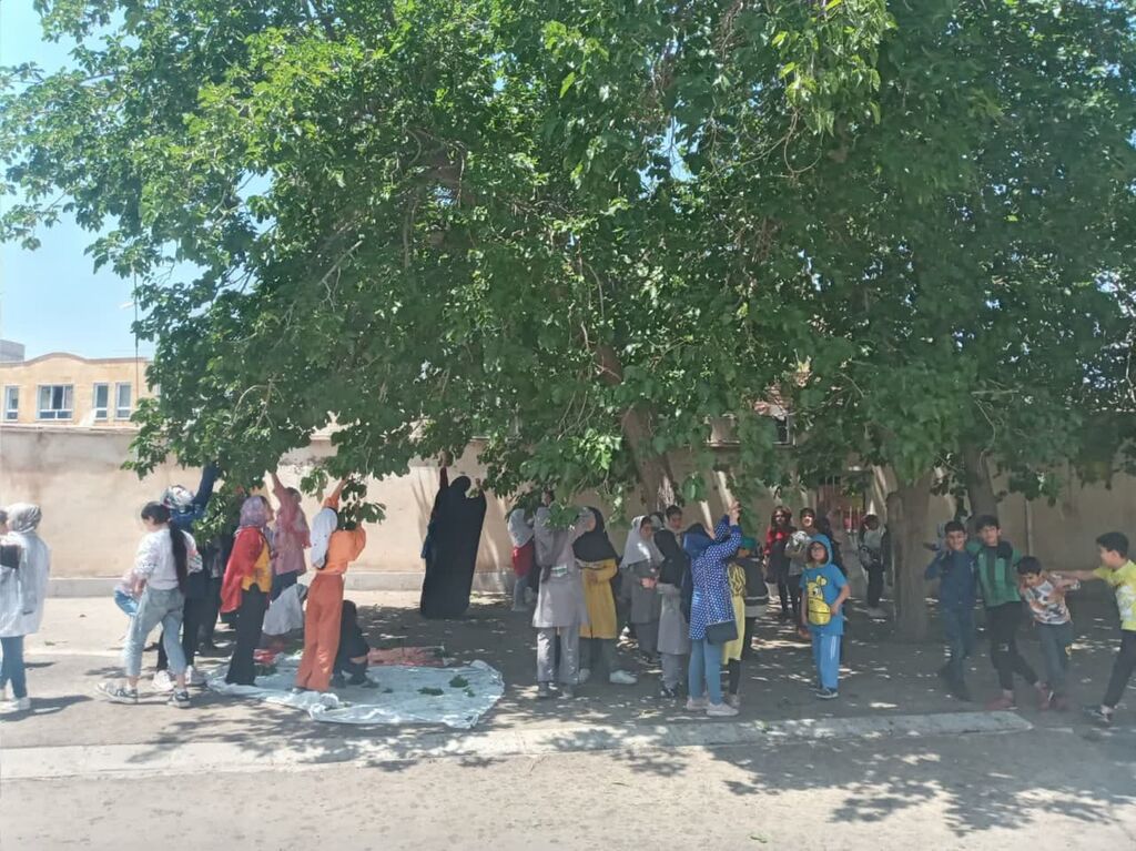 دخترانهها؛ شادی آفرینی مراکز فرهنگی و هنری کانون استان قزوین به مناسبت زادروز فرخنده حضرت معصومه (س)